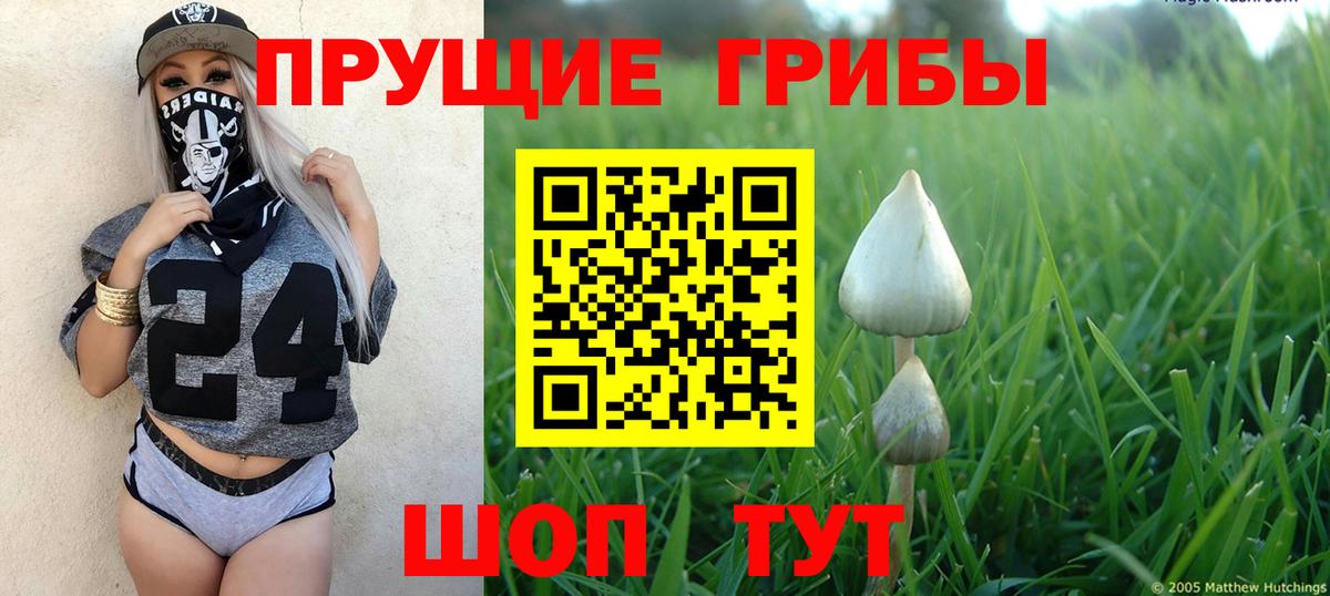 Галлюциногенные грибы Magic Shrooms  Вход с VPN  Полысаево 